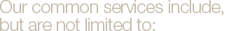 Our common services include, but are not limited to: